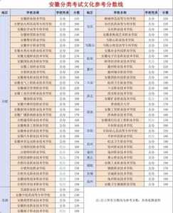 安徽文达信息工程学院单招分数线