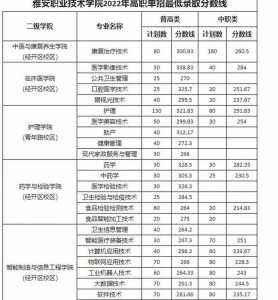 雅安职业技术学院单招录取分数线是多少?