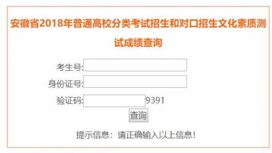 安徽中澳科技职业学院分类考试分数线