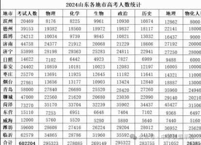 山东2024高考人数