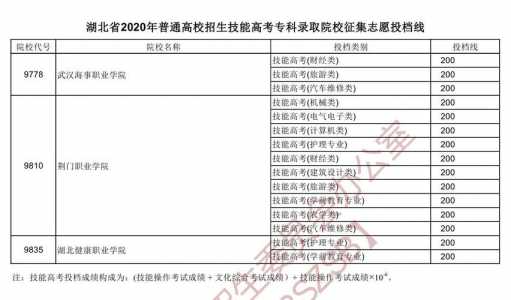 湖北技能高考建筑技术大专分数线