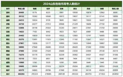 山东24年高考人数