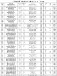 山东2024高考人数