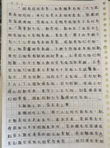 高考作文要求多少字