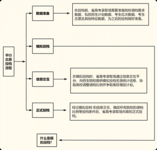 模拟高考填报志愿的流程