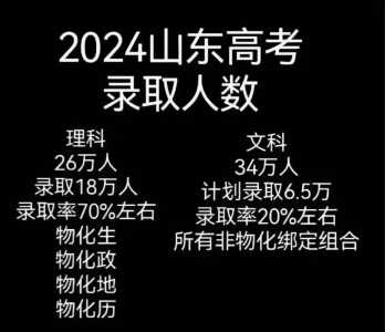 山东2024高考人数