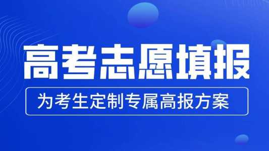 高考志愿填报怎么查询自己填的志愿?