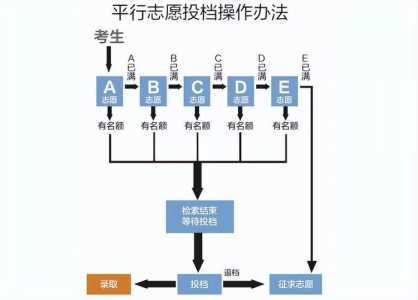 高考填报指南是什么