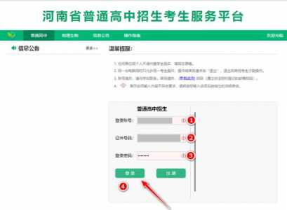 河南省招生服务平台网站入口https://pzwb.haeea.cn/