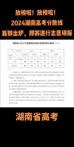 2021年湖南省高考分数线