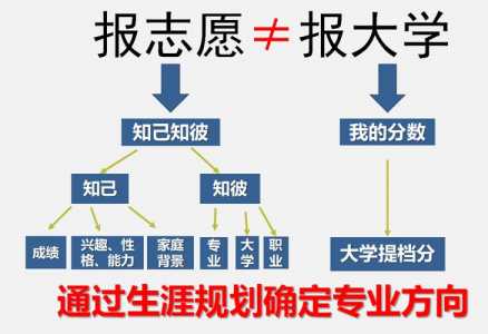 陈麒报志愿怎么样