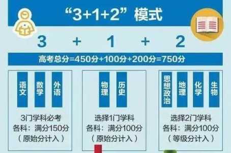 2025年新高考政策