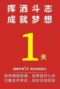 求一个中考倒计时器,要可以放在桌面上的,打开电脑时可以提醒自己,发到...